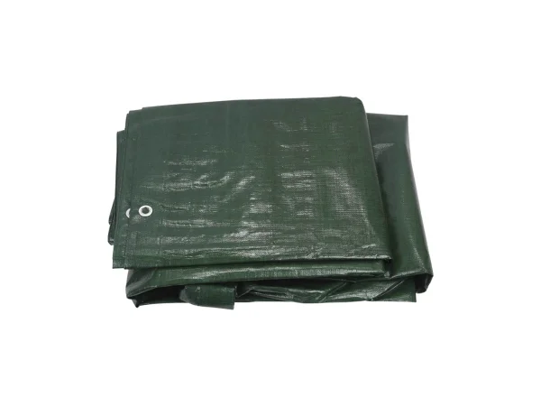 dinichance5010884