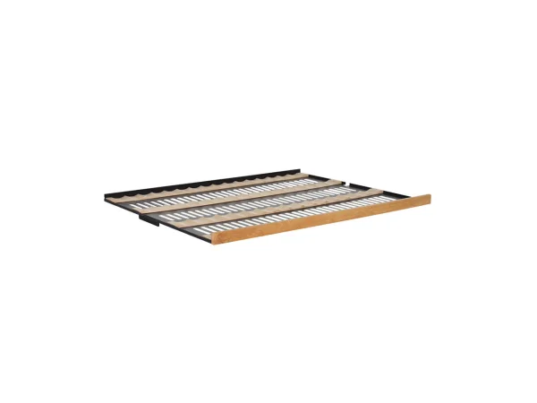 dinichance5042807