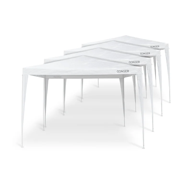 gonser6004636